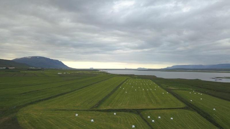 Puffin Palace Guesthouse Skagafjordur Eksteriør billede